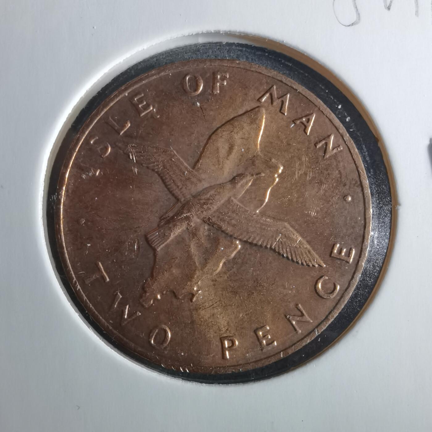 沼泽如烟--第956场