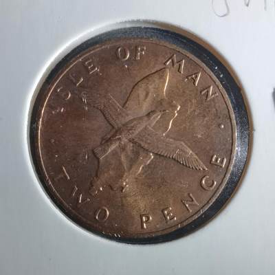 沼泽如烟--第956场 - 马恩1976年2便士