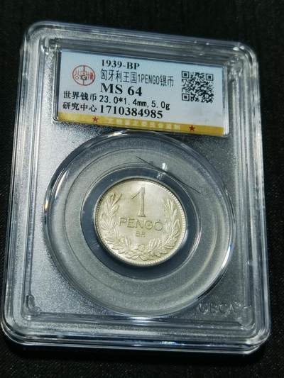 天下钱庄专场欢迎参拍 - 匈牙利1潘果银币