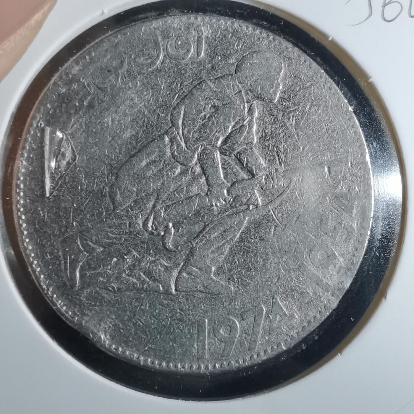 沼泽如烟--第956场