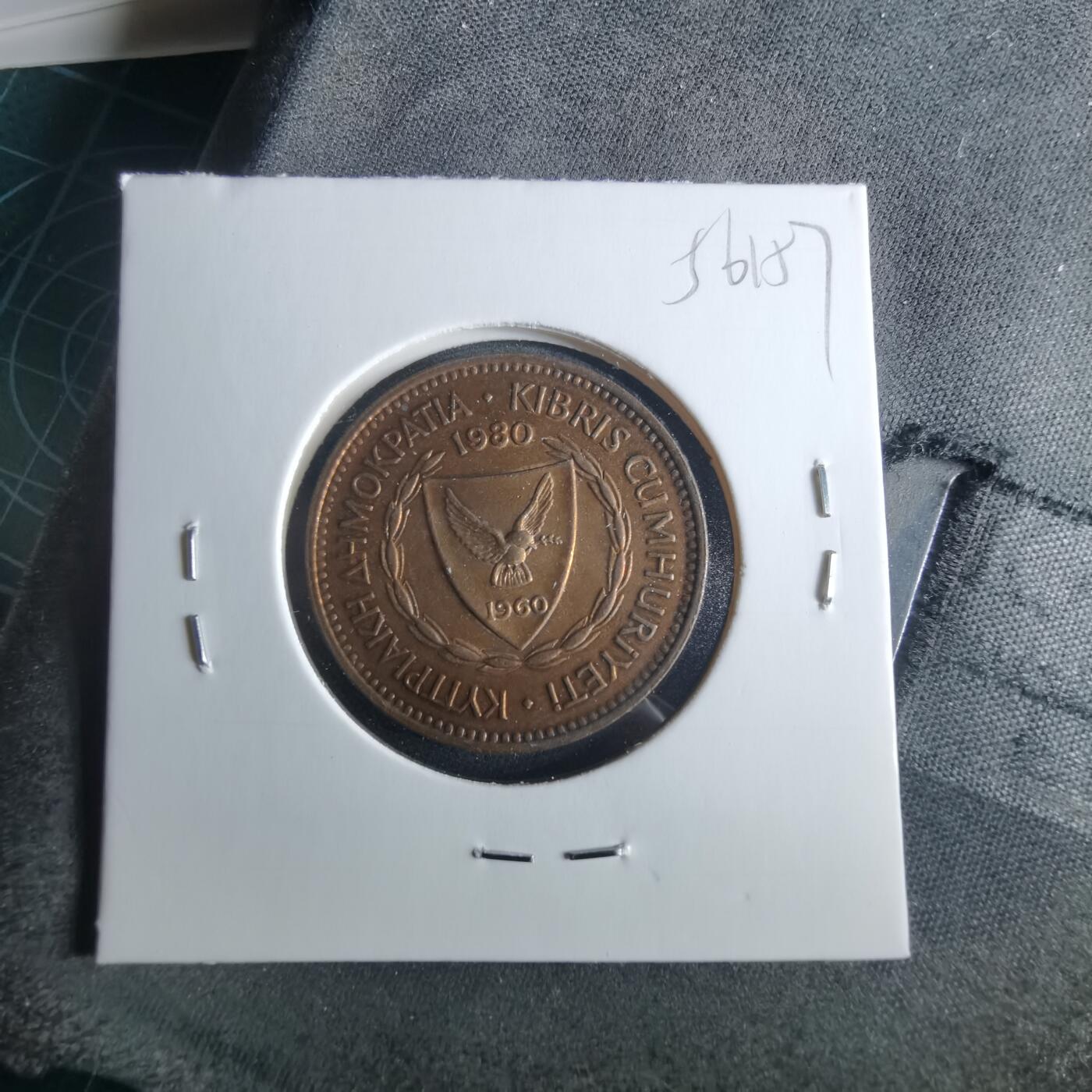 沼泽如烟--第956场