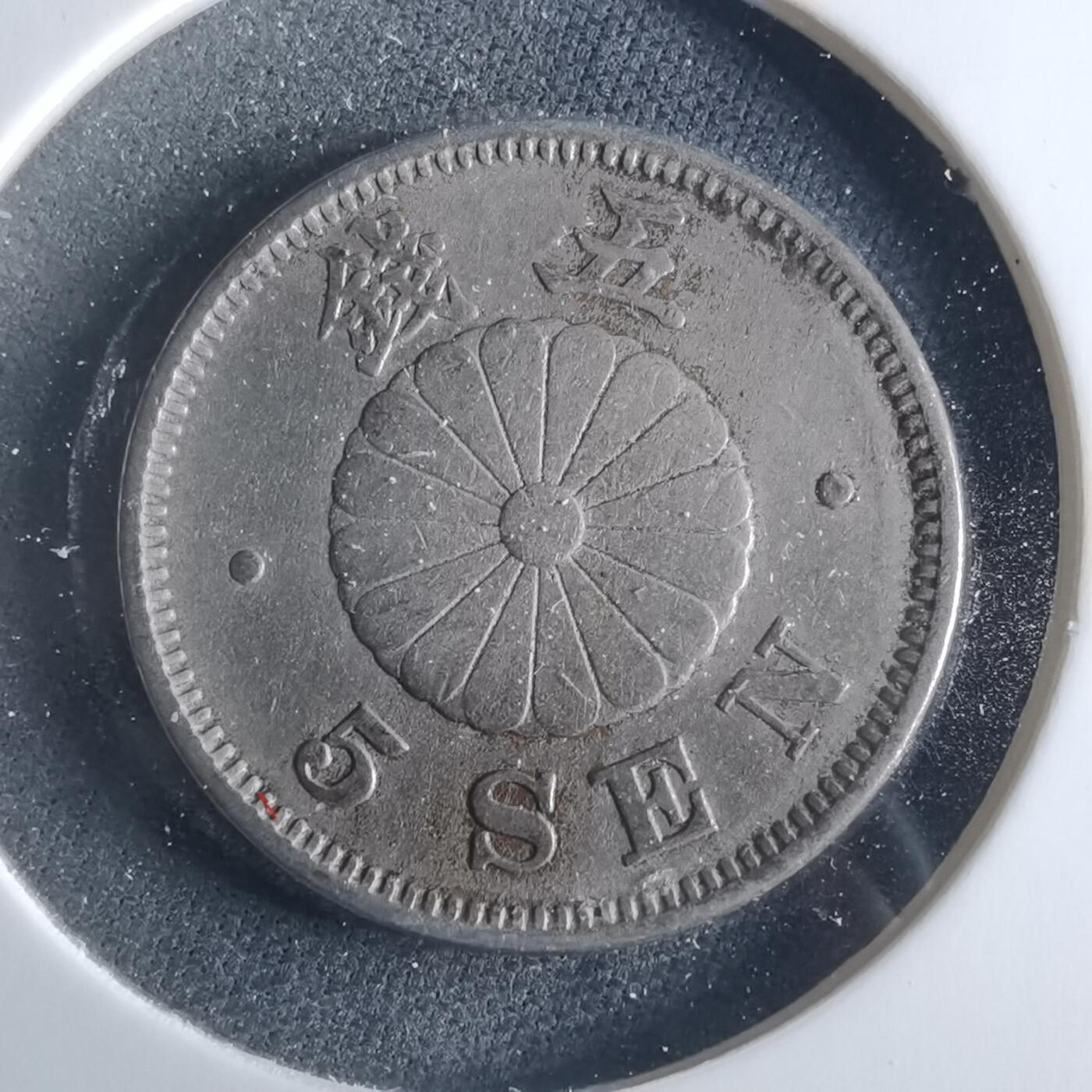 沼泽如烟--第956场