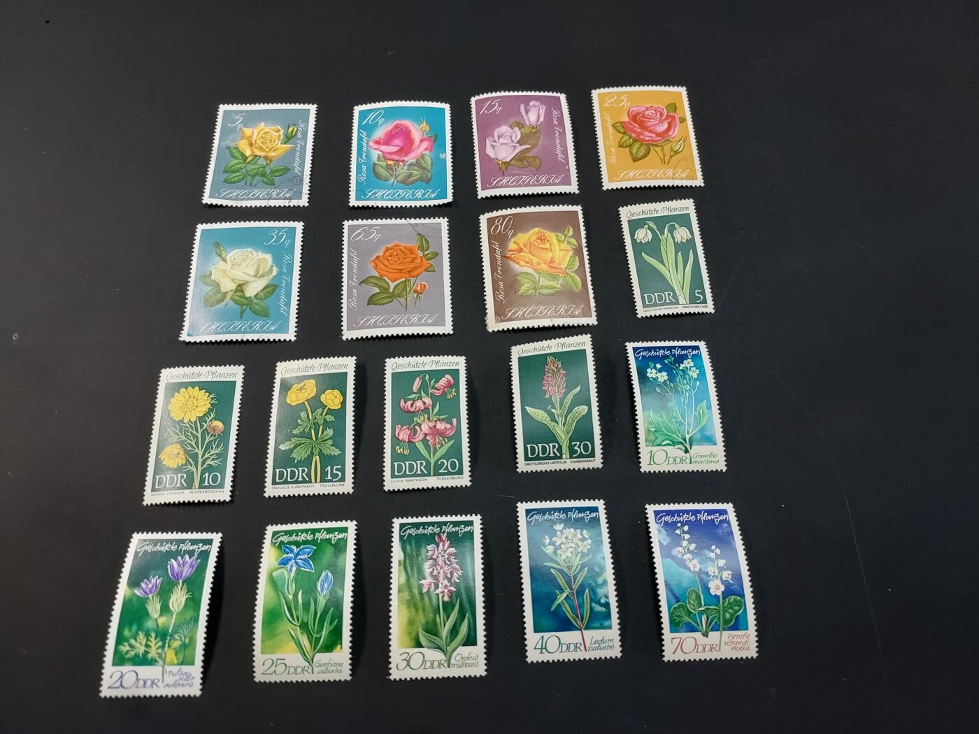 博彦收藏  TM 1月14日 8点 邮票专场 全场包邮