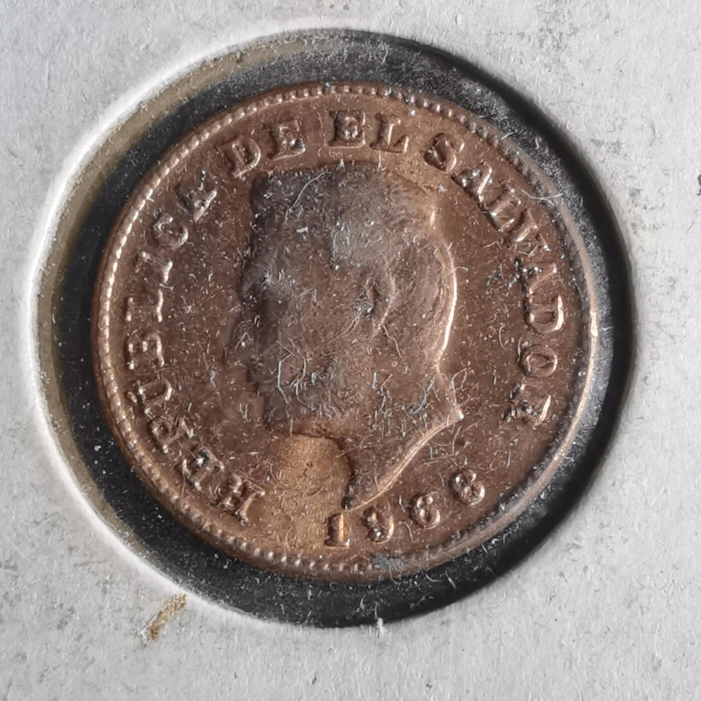 沼泽如烟--第956场