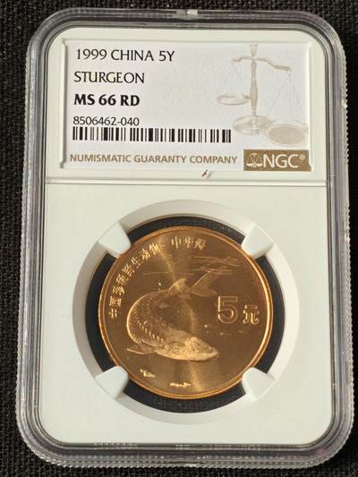 刘世昌艺术品销售中心～虎踞龙蟠*金杨在线联拍群第514期 - 1999年流通纪念币“中华鲟”（NGC MS66RD 串号：8506462-040）1枚。