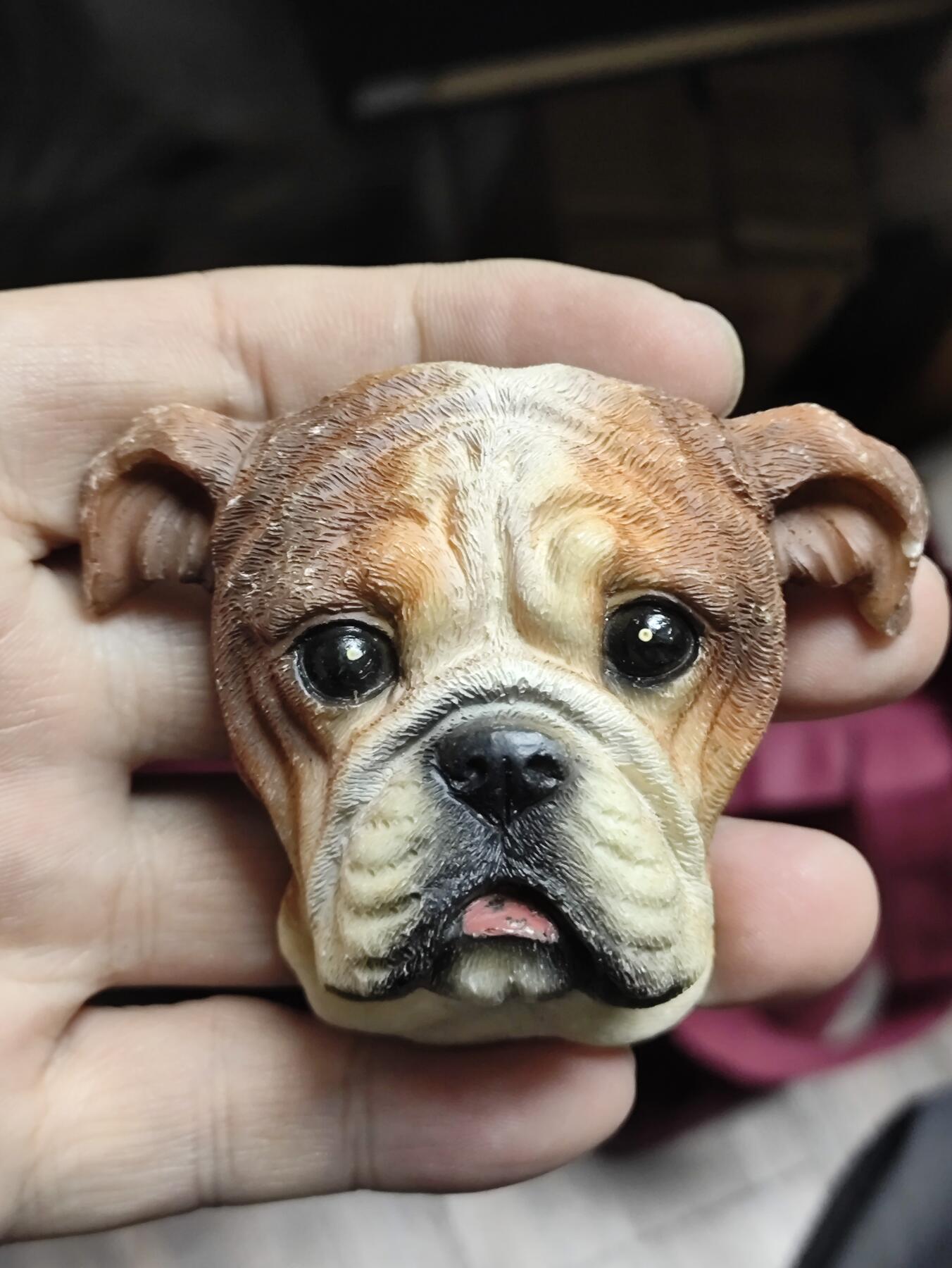 风光无限，精美冰箱贴A 法国斗牛犬造型的创意磁性树脂冰箱贴‌