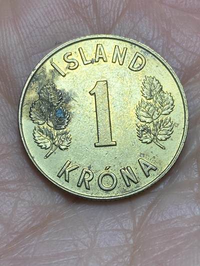 2026年第五场(总第一百七十四场）外国好品散币场(免佣金) - 冰岛🇮🇸1975年1克朗(第一套第二版，关门年)