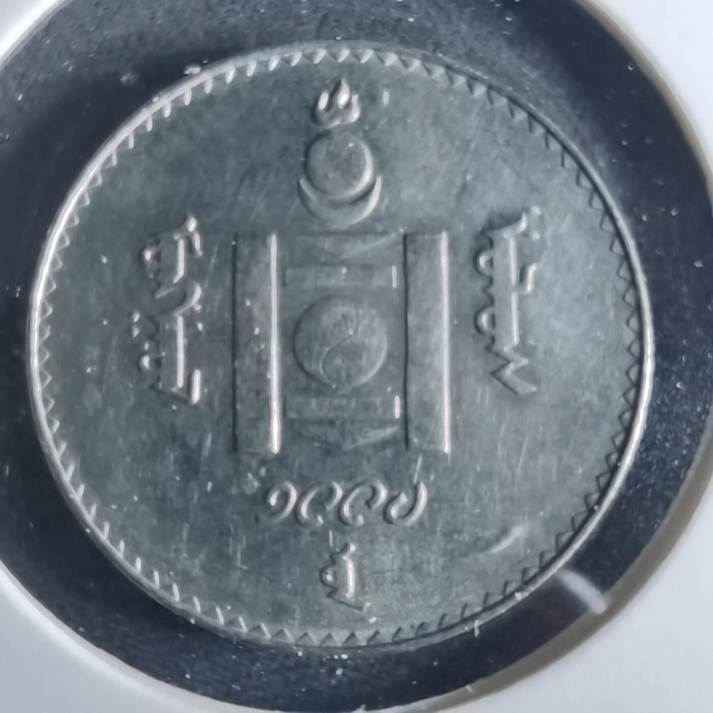 沼泽如烟--第956场