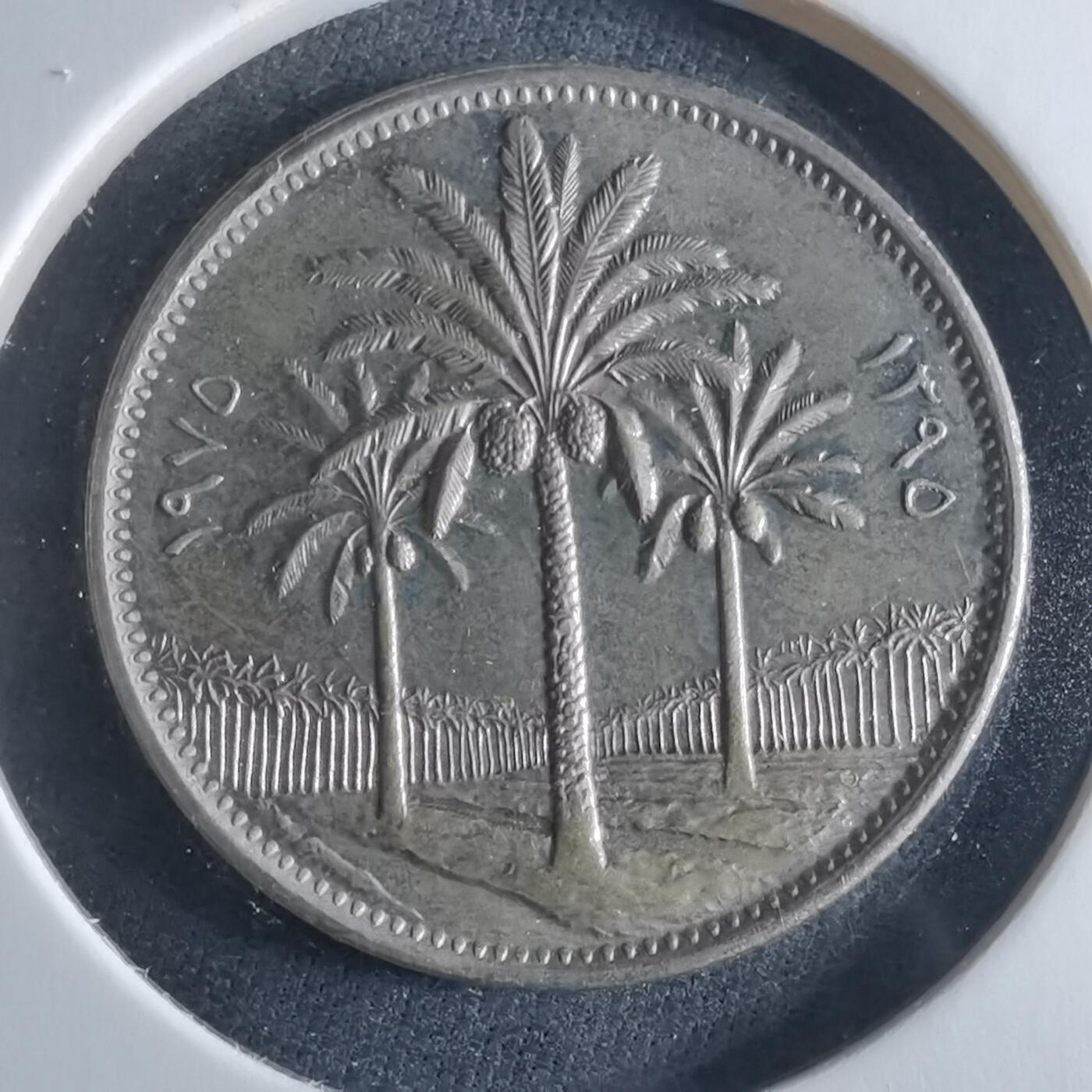 沼泽如烟--第956场