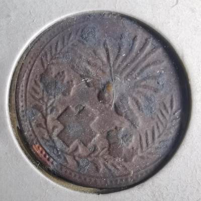 沼泽如烟--第956场 - 明治三十七八年赤十字纪念章