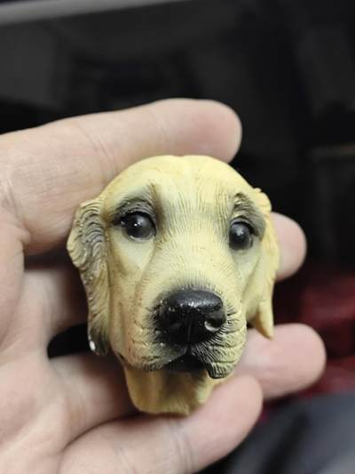 风光无限，精美冰箱贴A - 金毛犬造型的创意磁性树脂冰箱贴‌