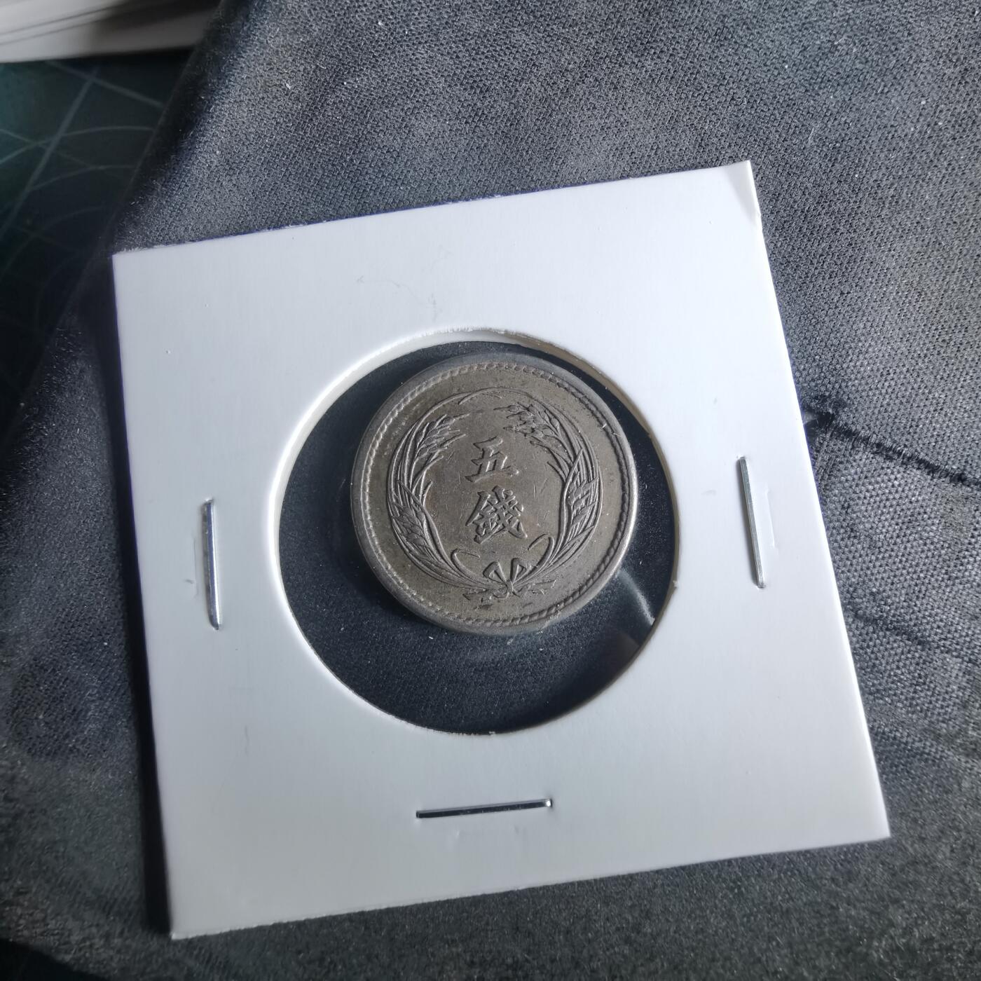 沼泽如烟--第956场