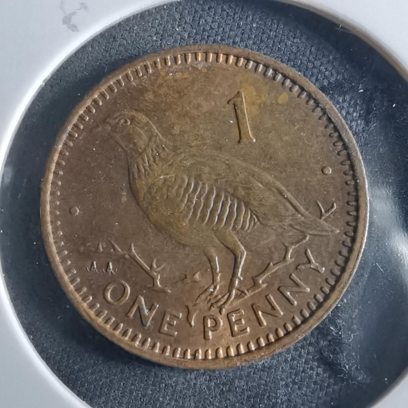 沼泽如烟--第956场