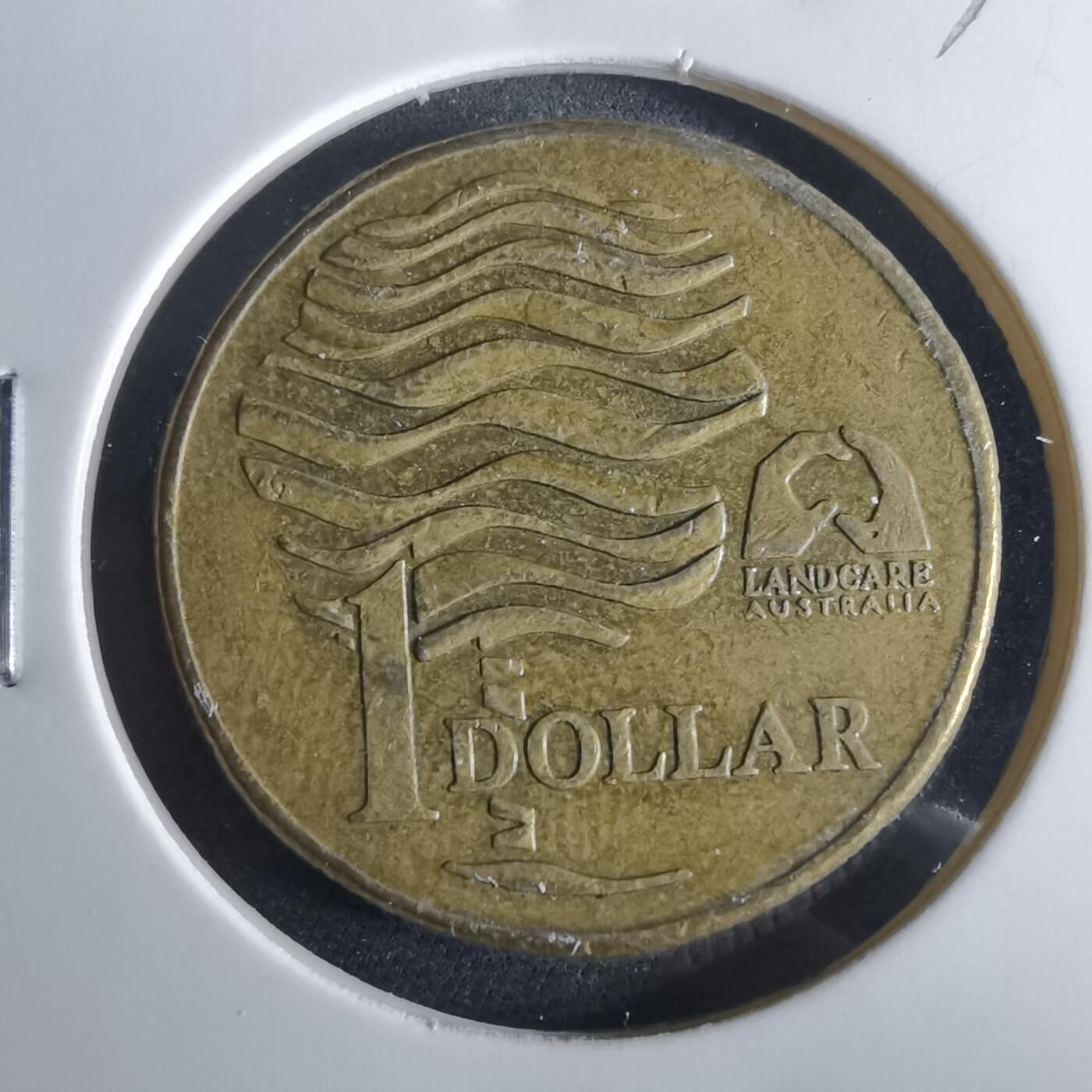 沼泽如烟--第956场