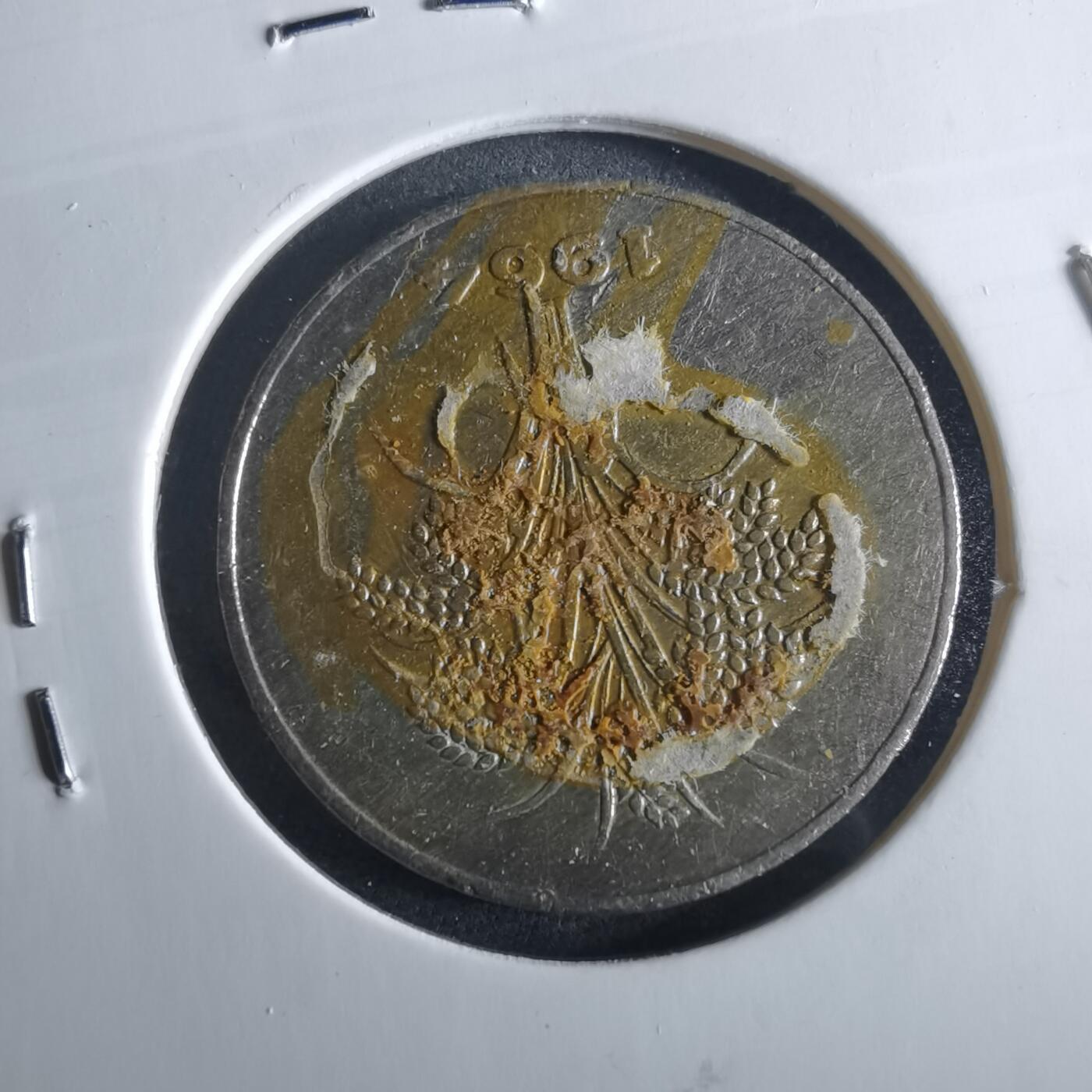 沼泽如烟--第956场