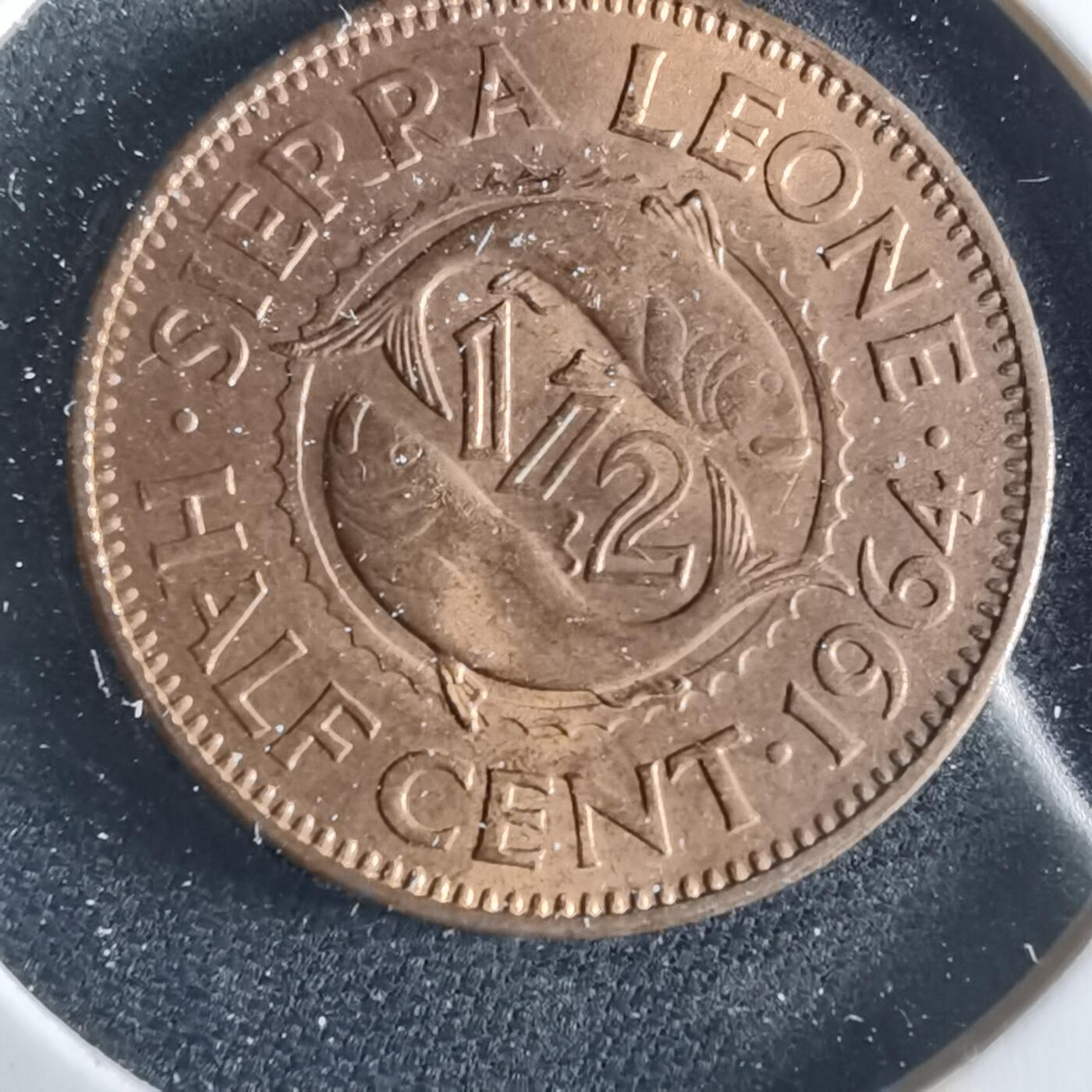 沼泽如烟--第956场