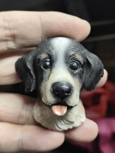 风光无限，精美冰箱贴A - 边境牧羊犬造型的创意磁性树脂冰箱贴‌