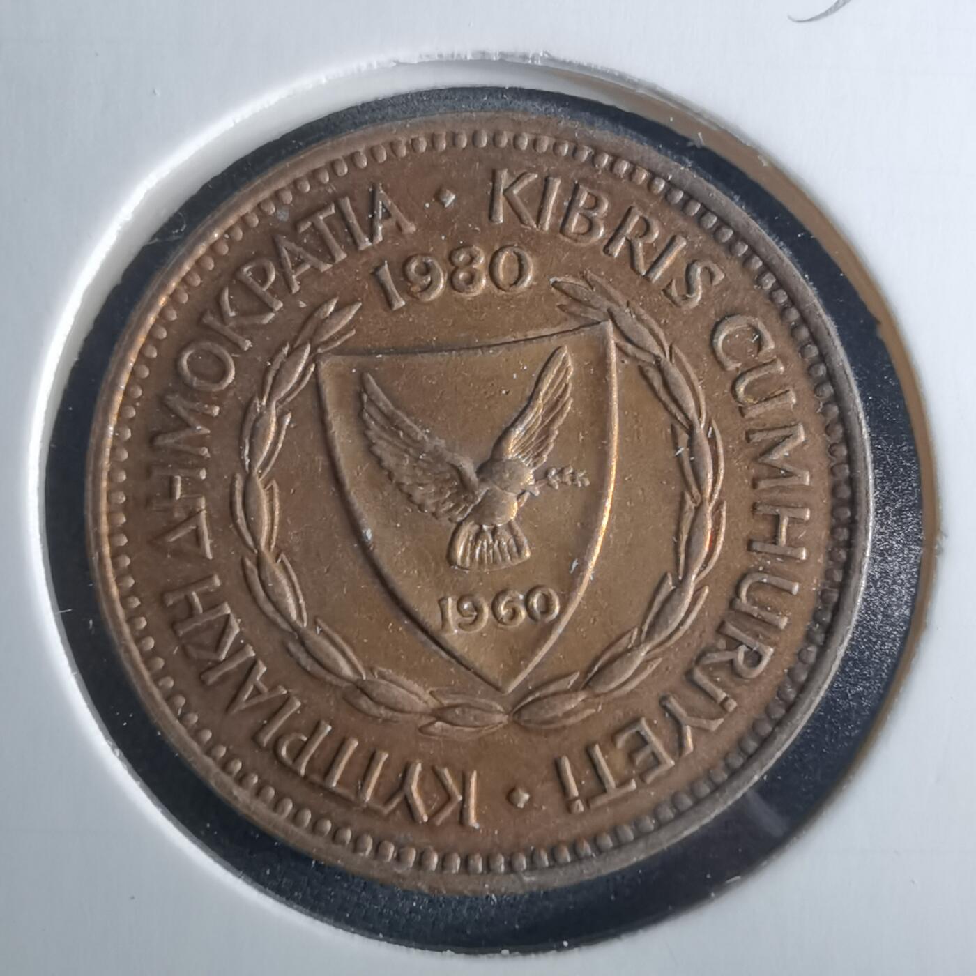 沼泽如烟--第956场