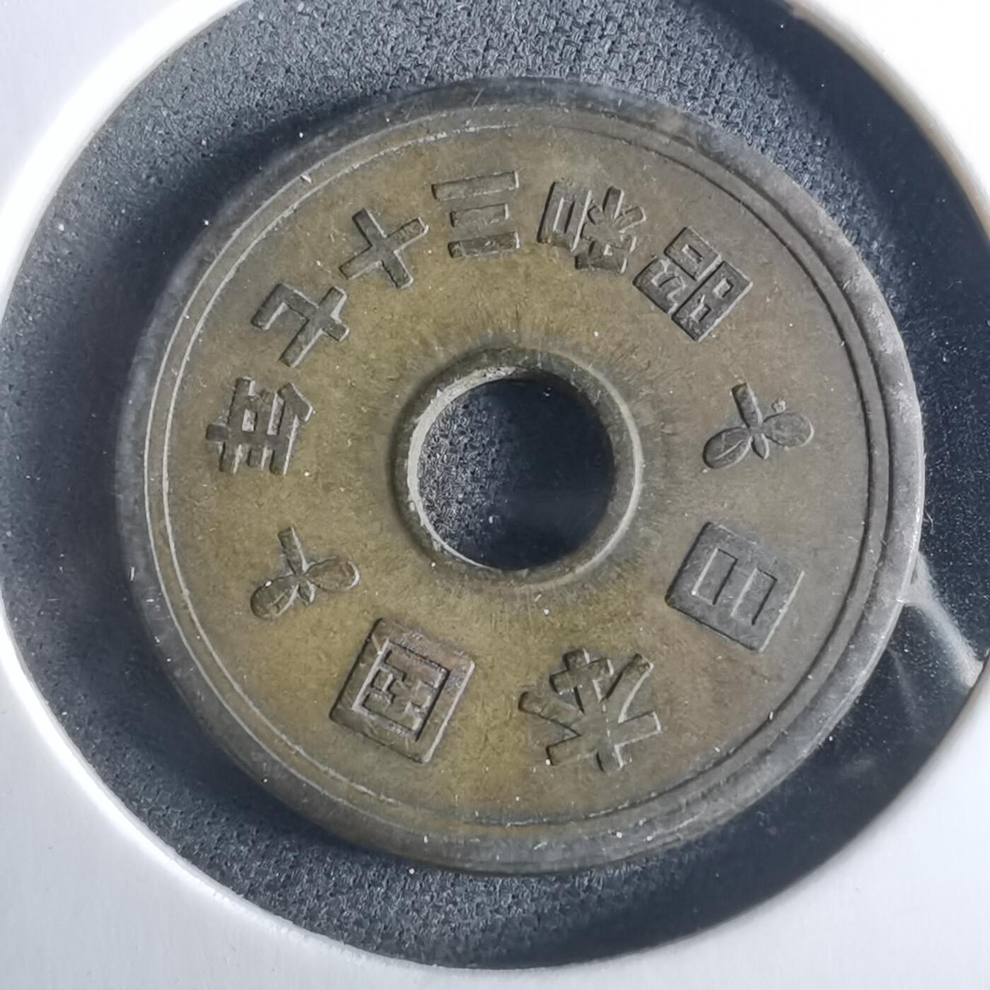 沼泽如烟--第956场