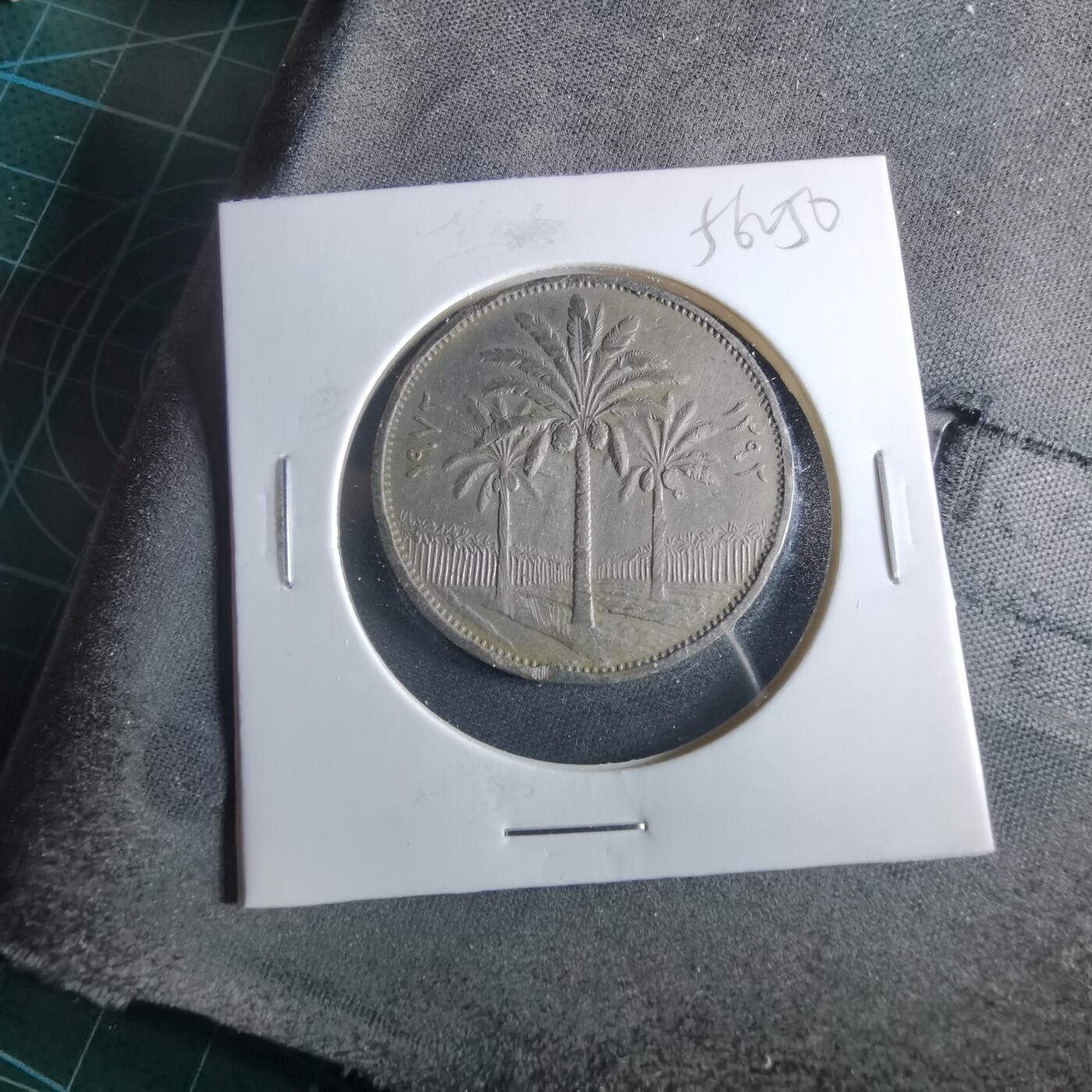 沼泽如烟--第956场