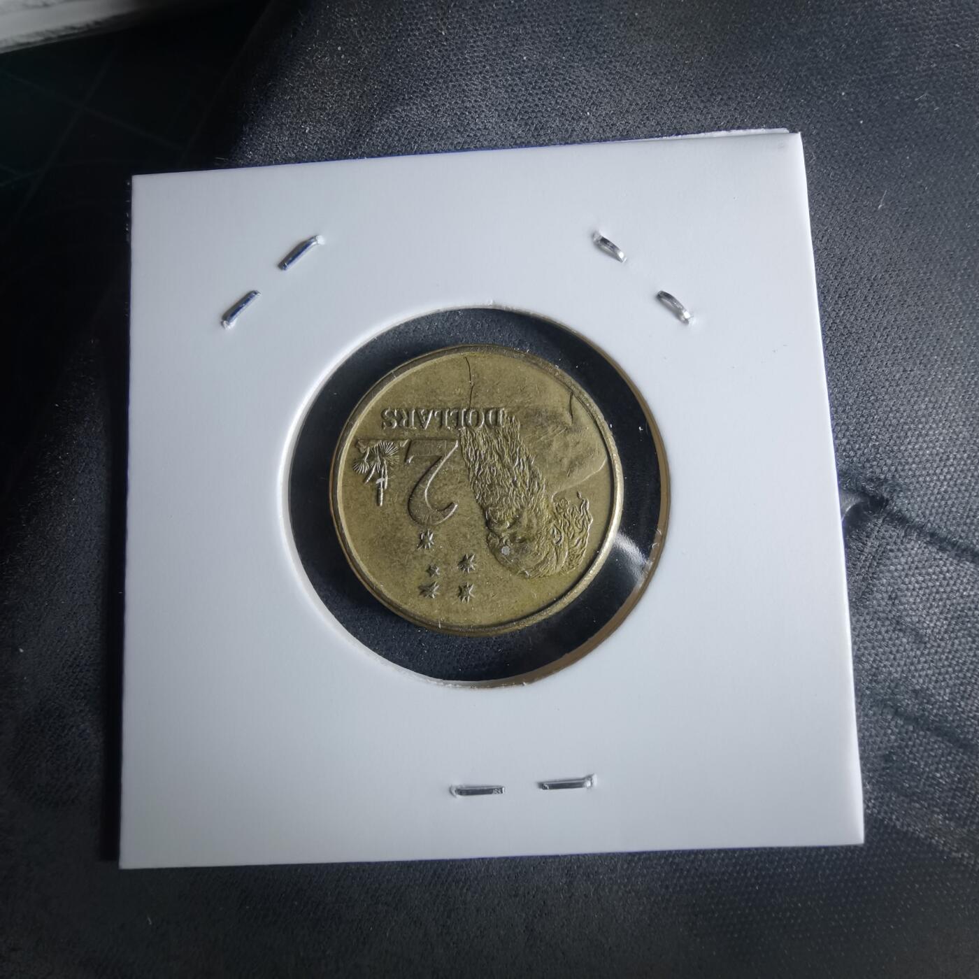 沼泽如烟--第956场