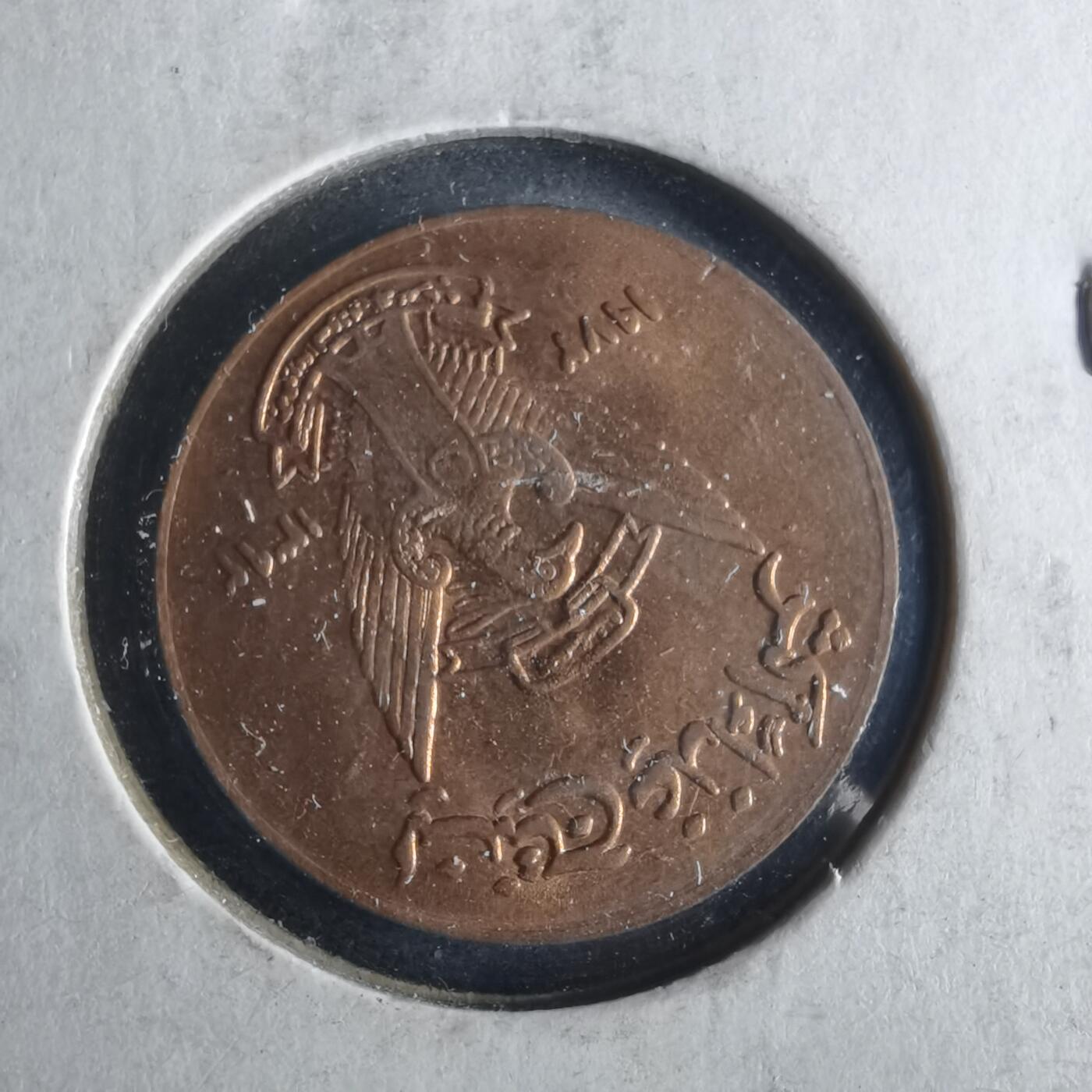 沼泽如烟--第956场