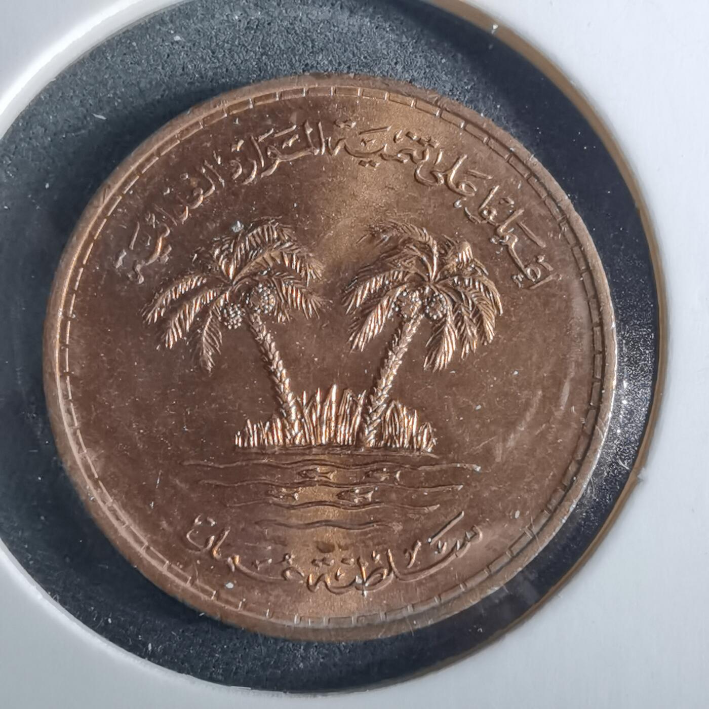 沼泽如烟--第956场