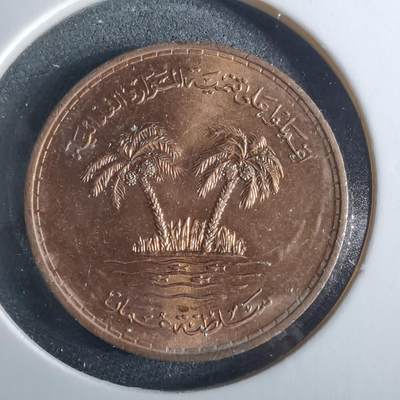 沼泽如烟--第956场 - 阿曼