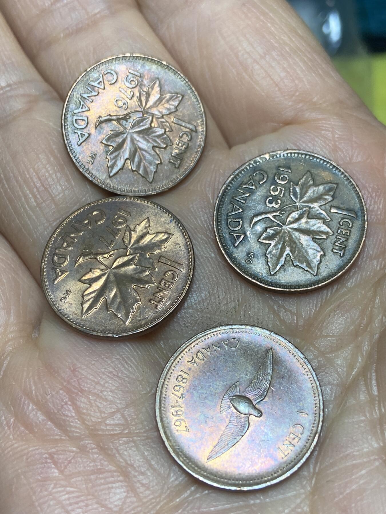 2026年第五场(总第一百七十四场）外国好品散币场(免佣金)