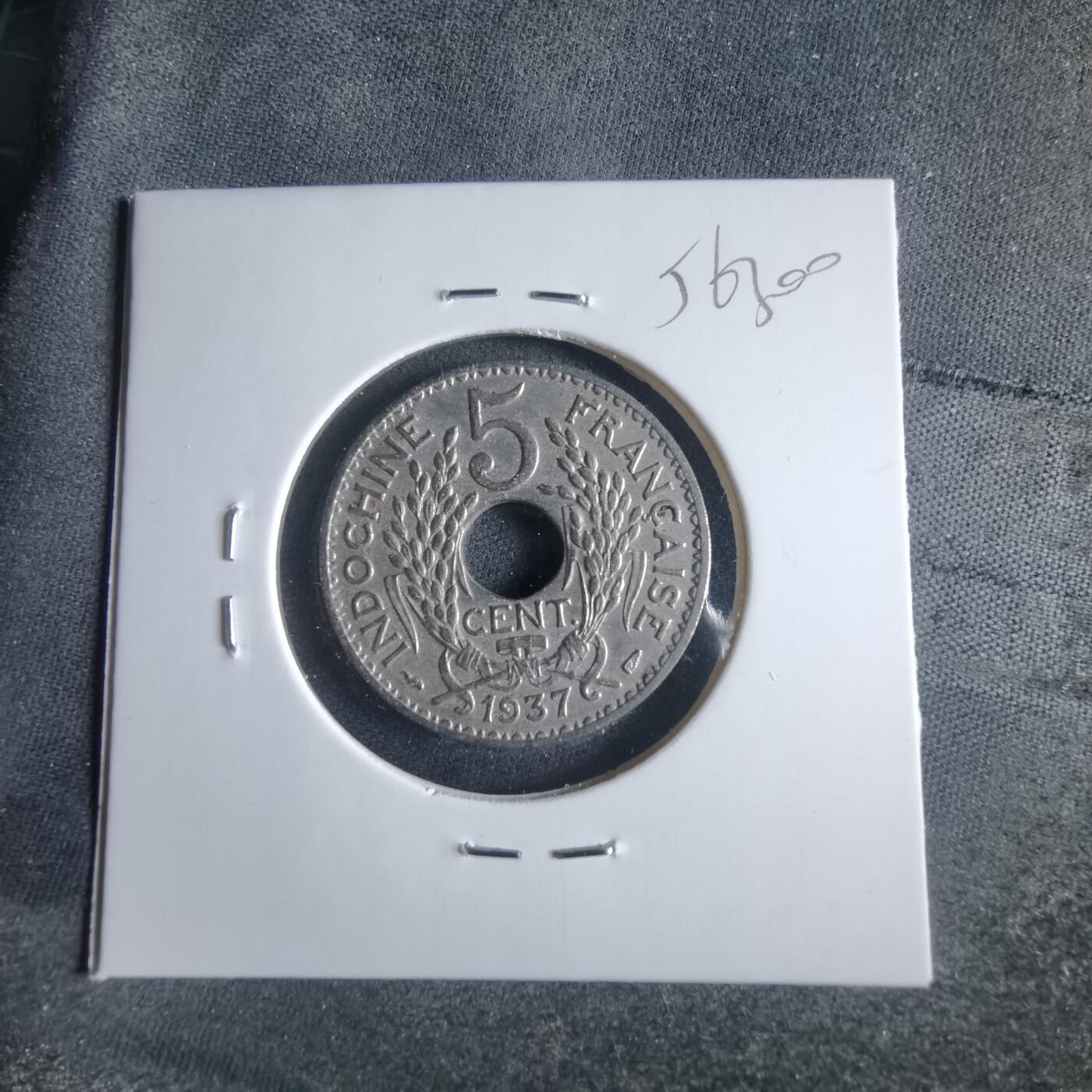 沼泽如烟--第956场