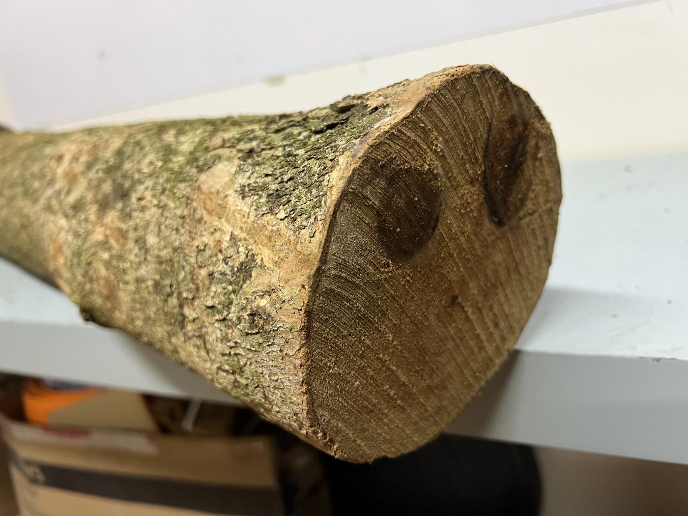 零元拍： 01-06-2金丝楠 原木 风水柱 横财（材）带皮，8.6公斤 尺寸：85/13CM。抛光后金灿灿满香。