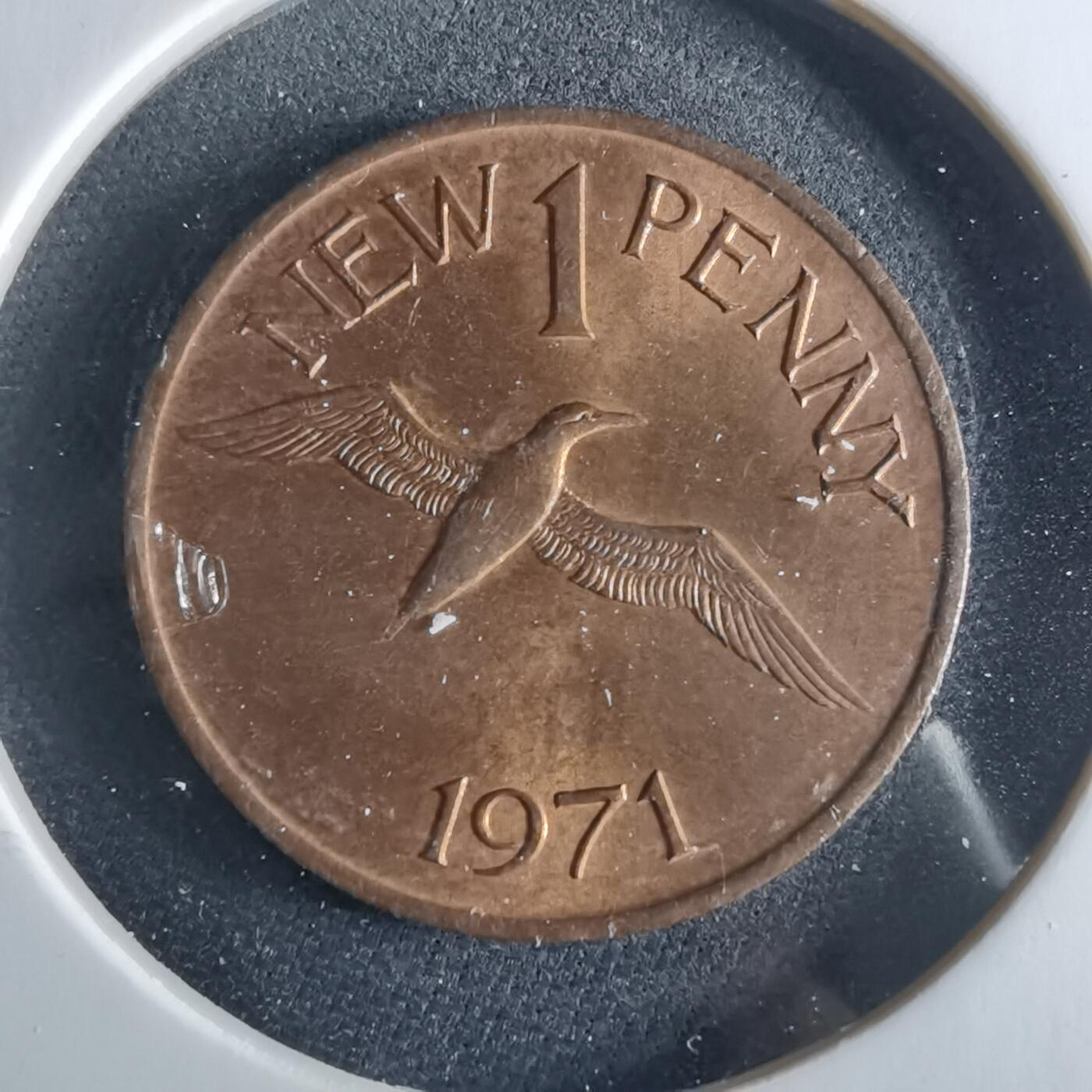 沼泽如烟--第956场