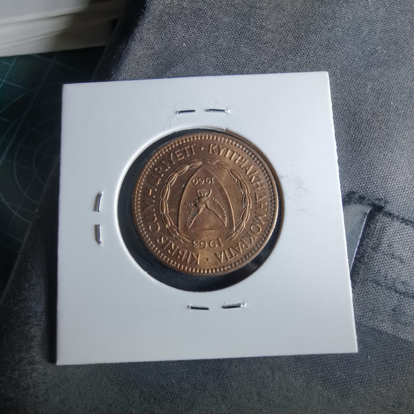 沼泽如烟--第956场