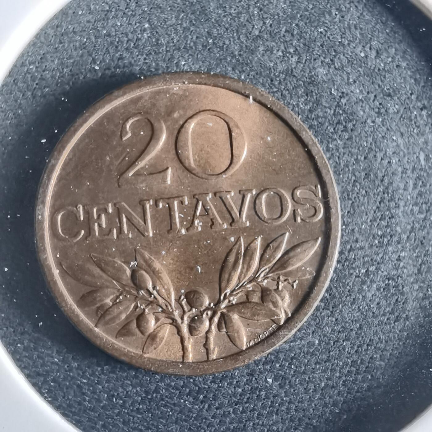 沼泽如烟--第956场