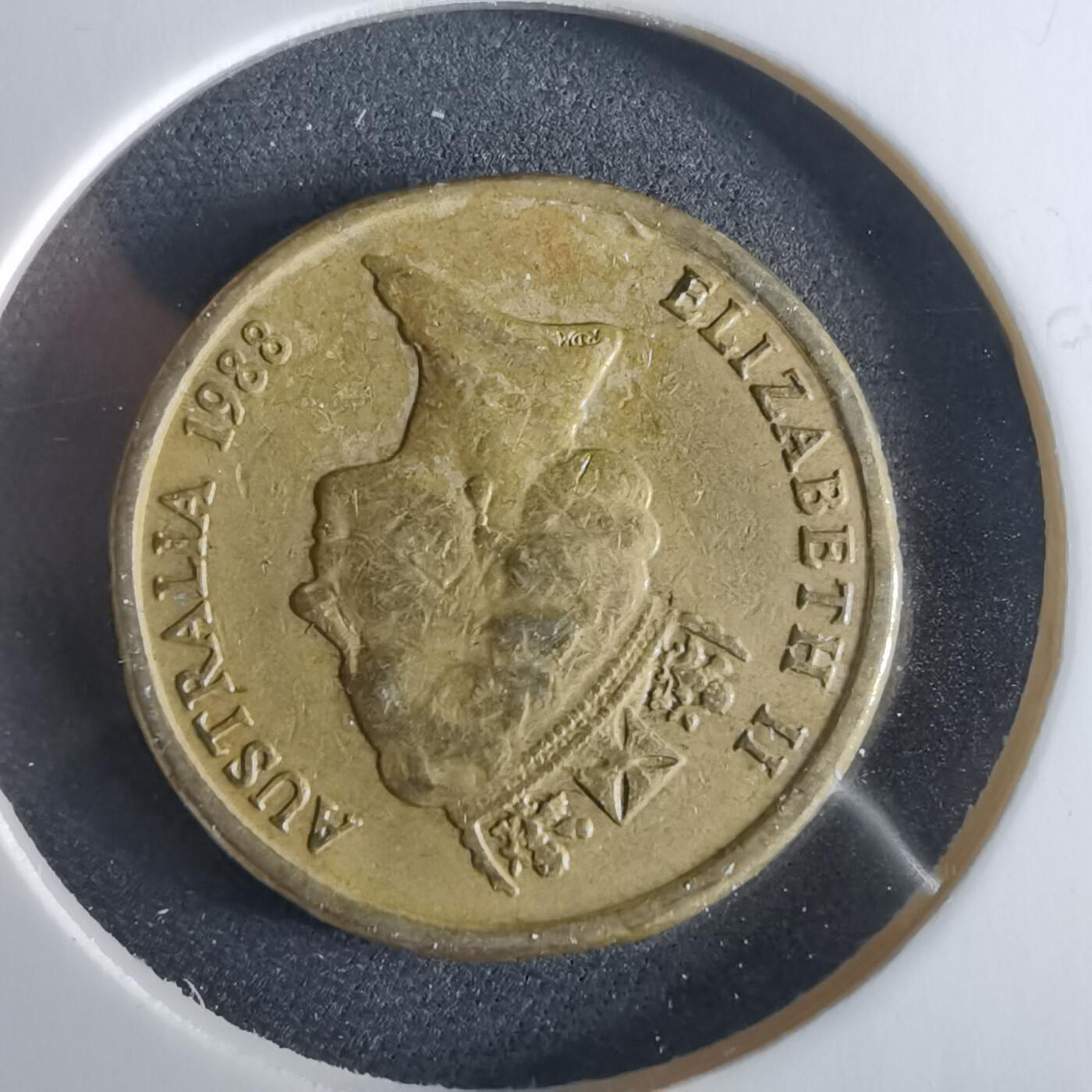 沼泽如烟--第956场