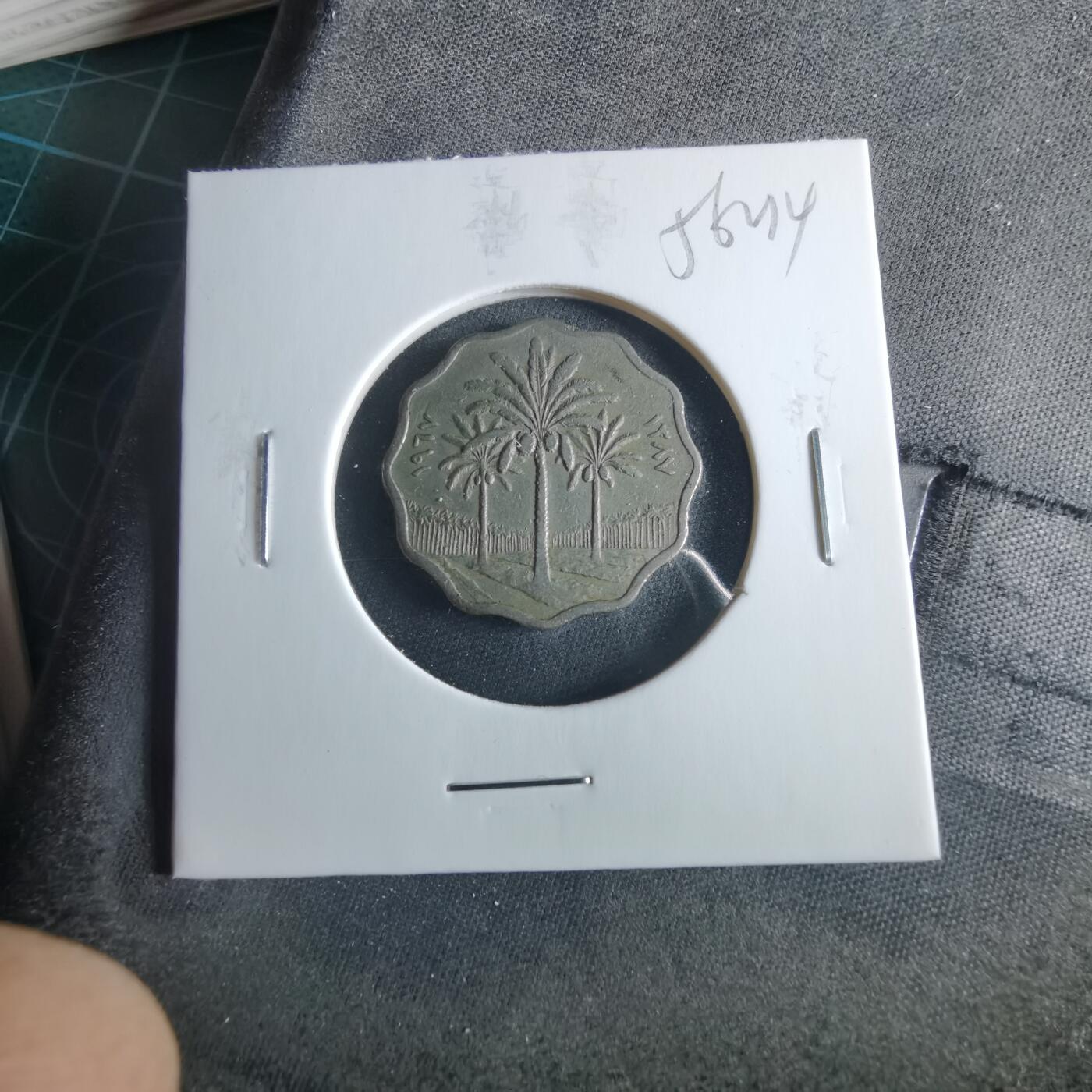 沼泽如烟--第956场