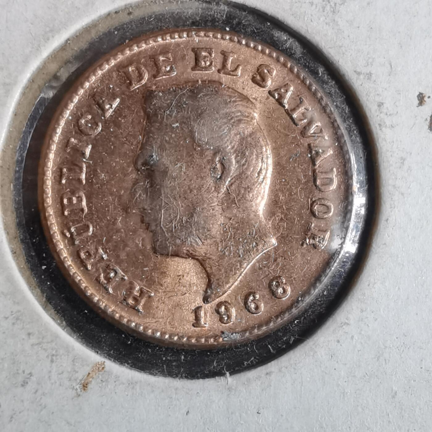 沼泽如烟--第956场