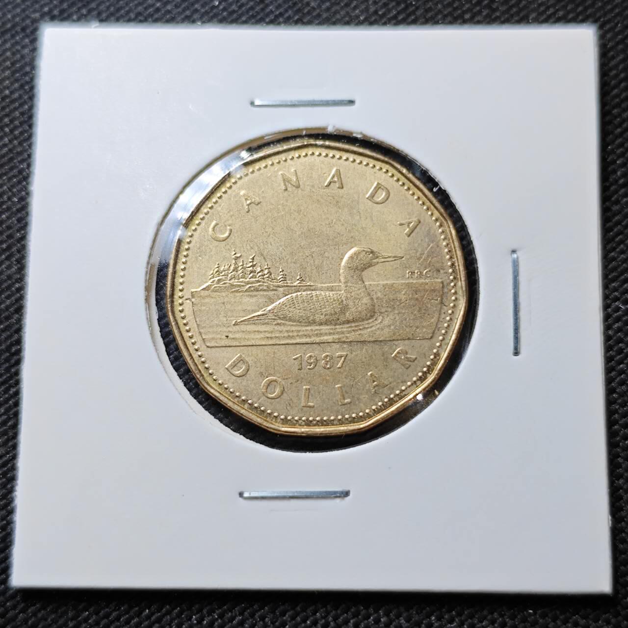 KK钱币收藏小铺  第387期  2月预留时间 周末发货  加拿大1元