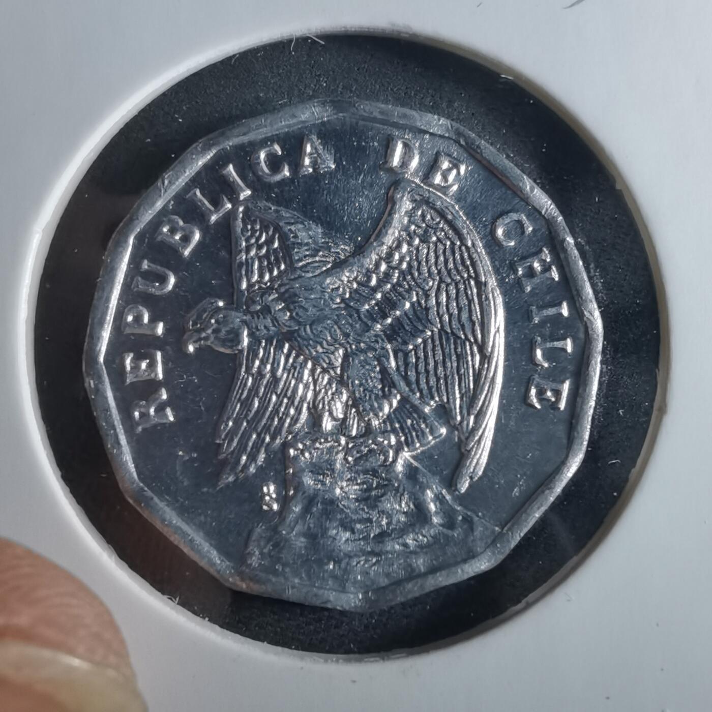 沼泽如烟--第956场