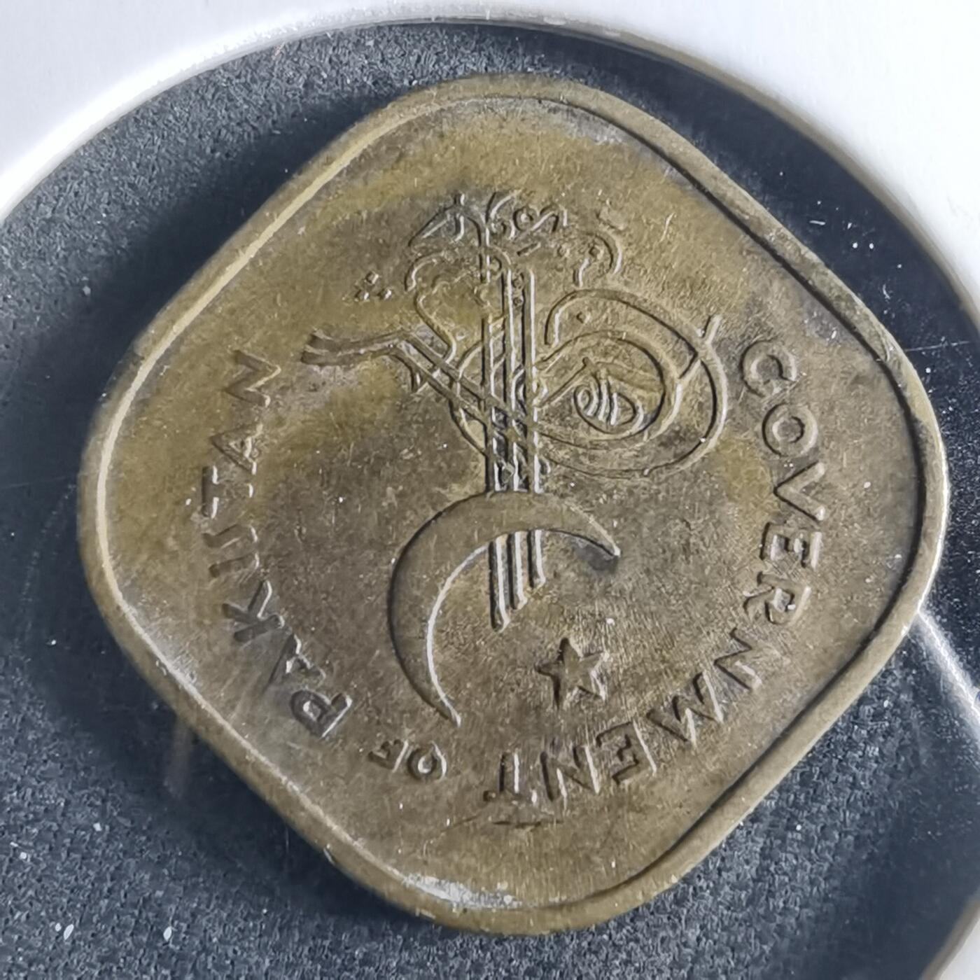 沼泽如烟--第956场