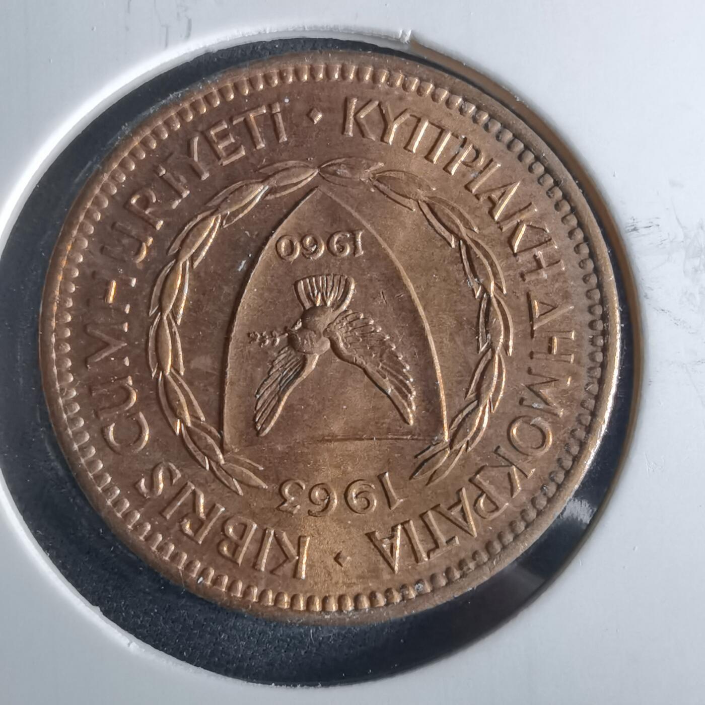 沼泽如烟--第956场