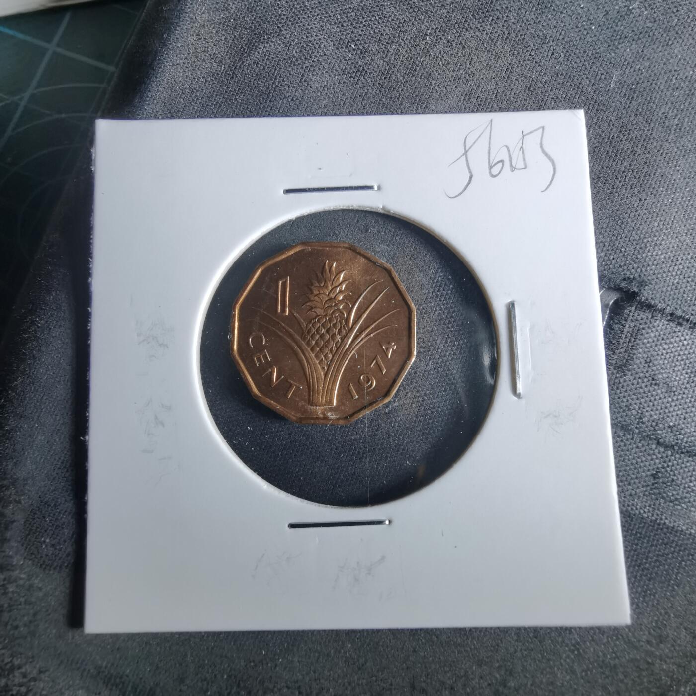 沼泽如烟--第956场