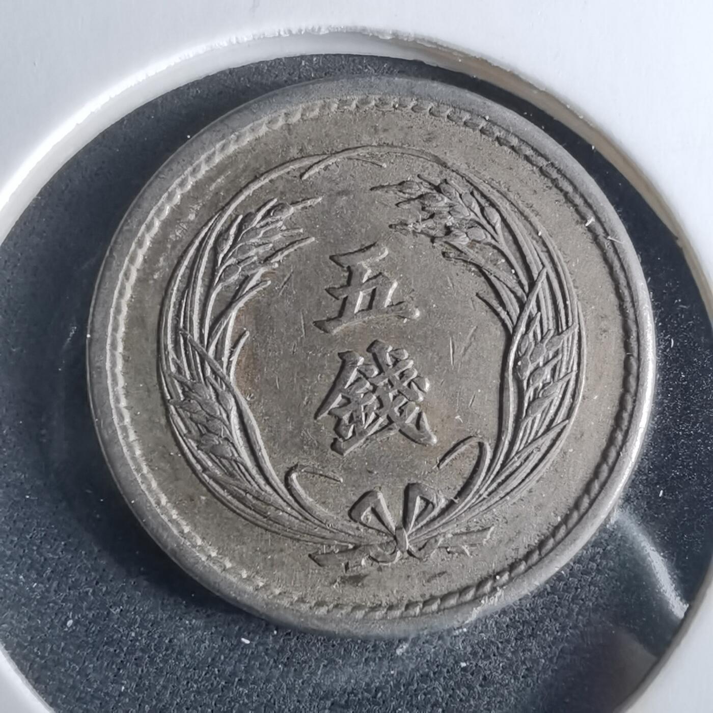 沼泽如烟--第956场