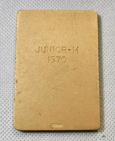 甄臻铺-世界币章拍卖（第46期）送拍享返佣金等优惠多多（1月10日精品场，敬请期待） 瑞典东日德兰射击协会镀金方形大铜章 尺寸62×43mm 重量83.5g，细节见图