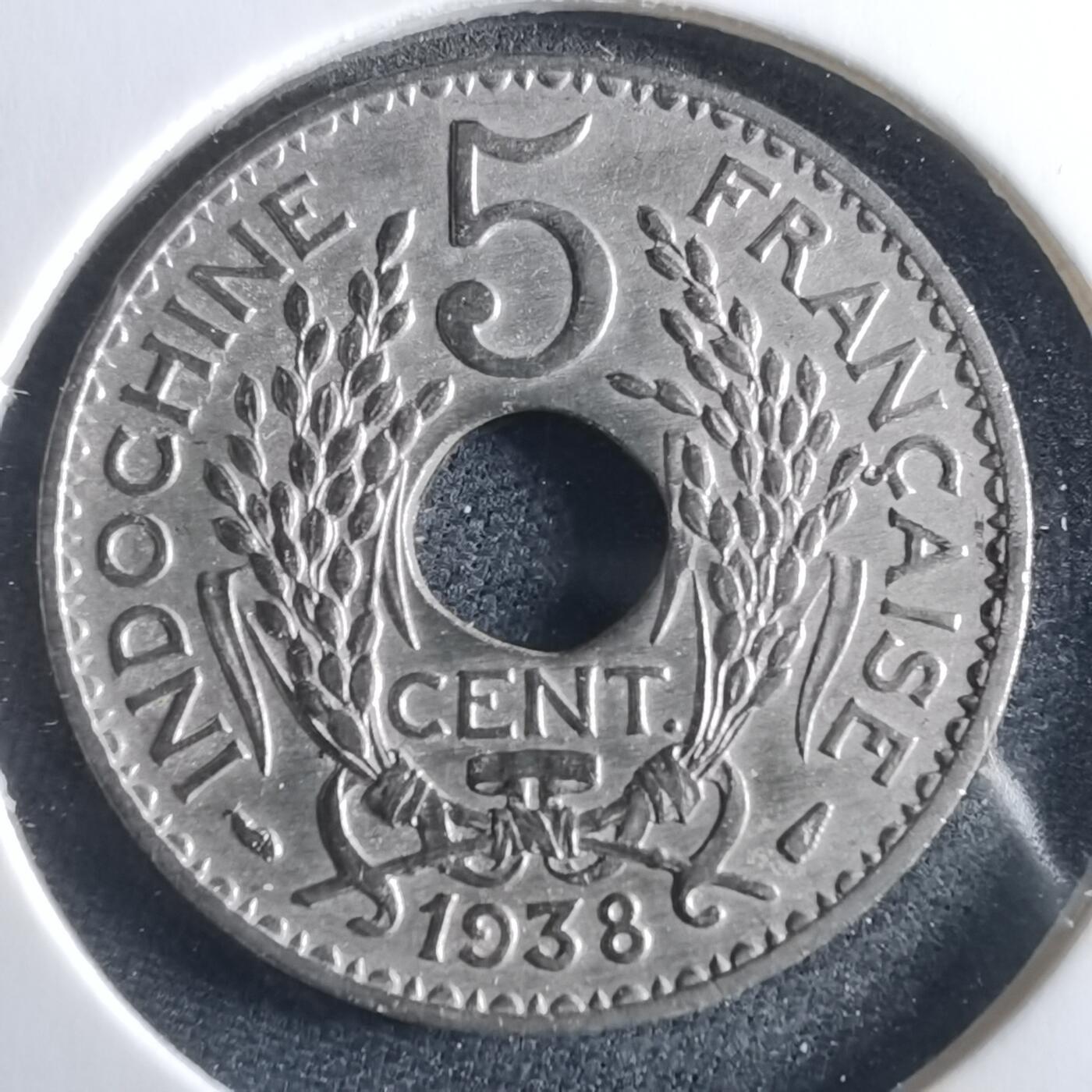 沼泽如烟--第956场