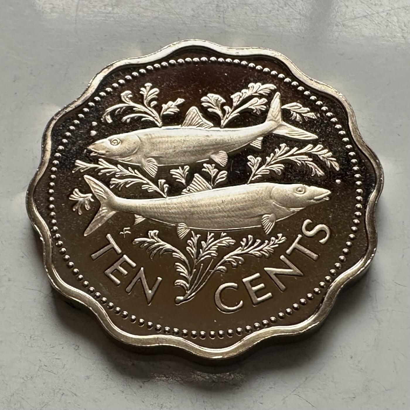 🌹外币初藏🌹🐯2026年第5场  每周二四六晚8️⃣点 接代拍