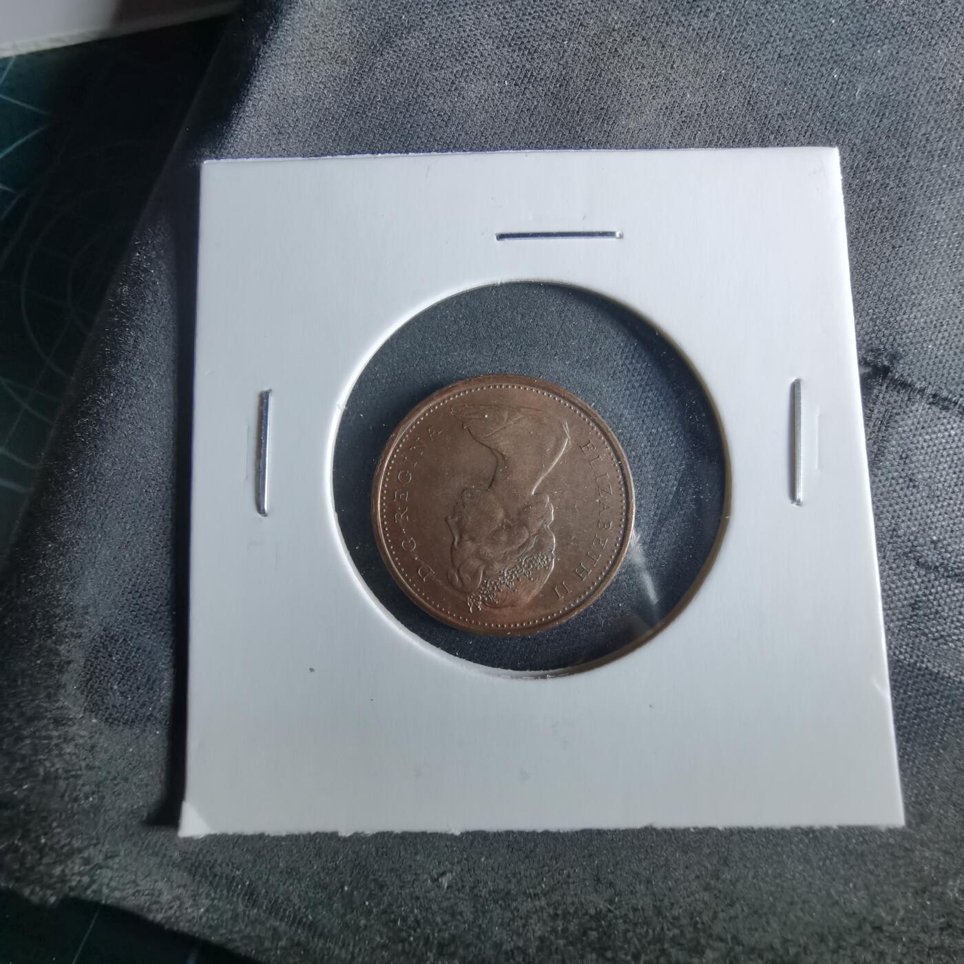 沼泽如烟--第956场