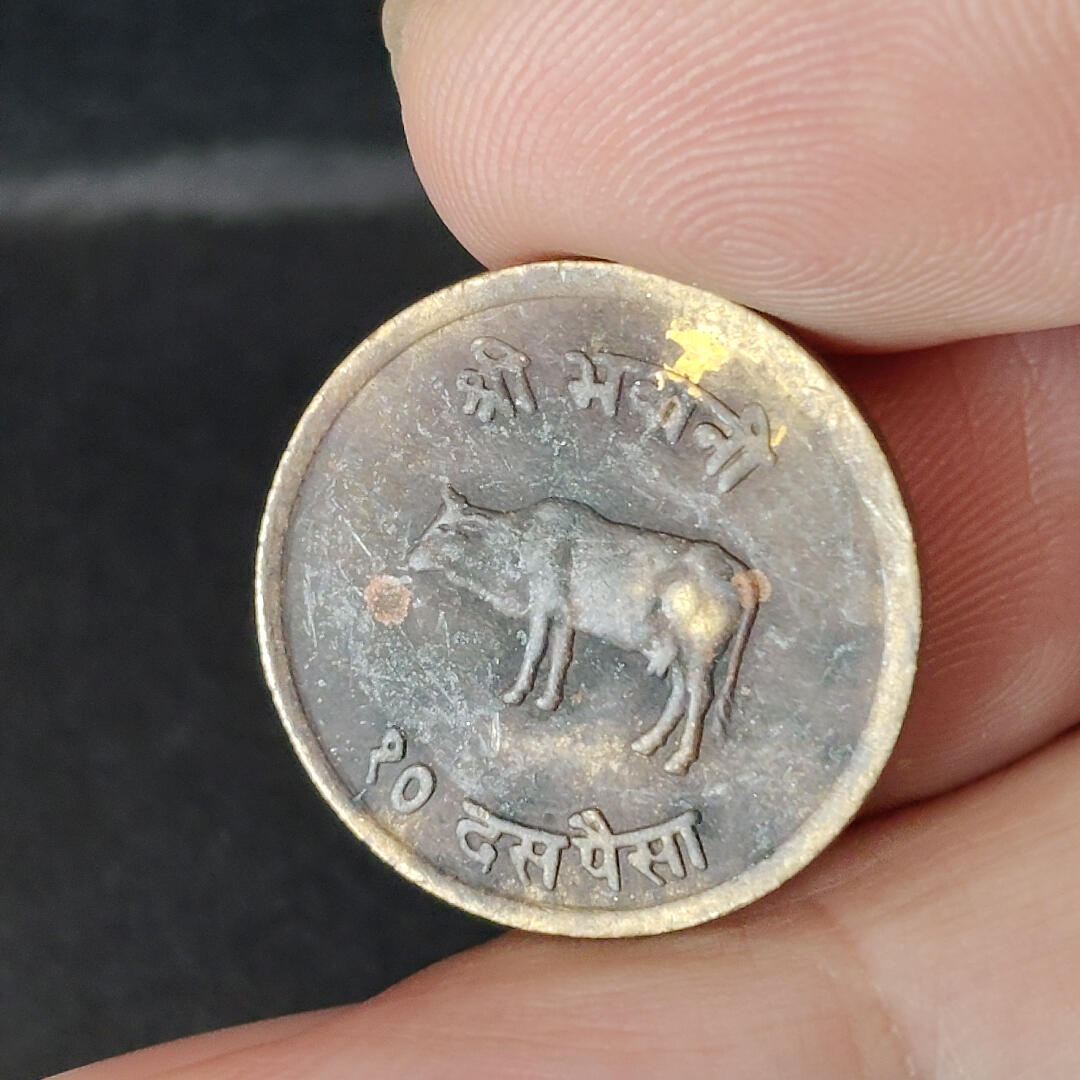 猩哥外币小铺➨【第217场】