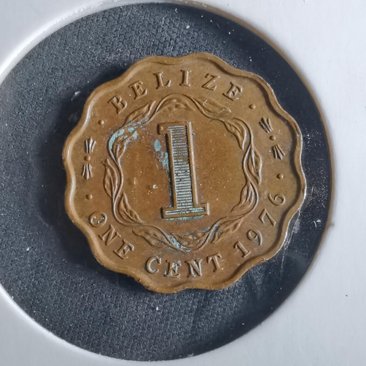 沼泽如烟--第956场