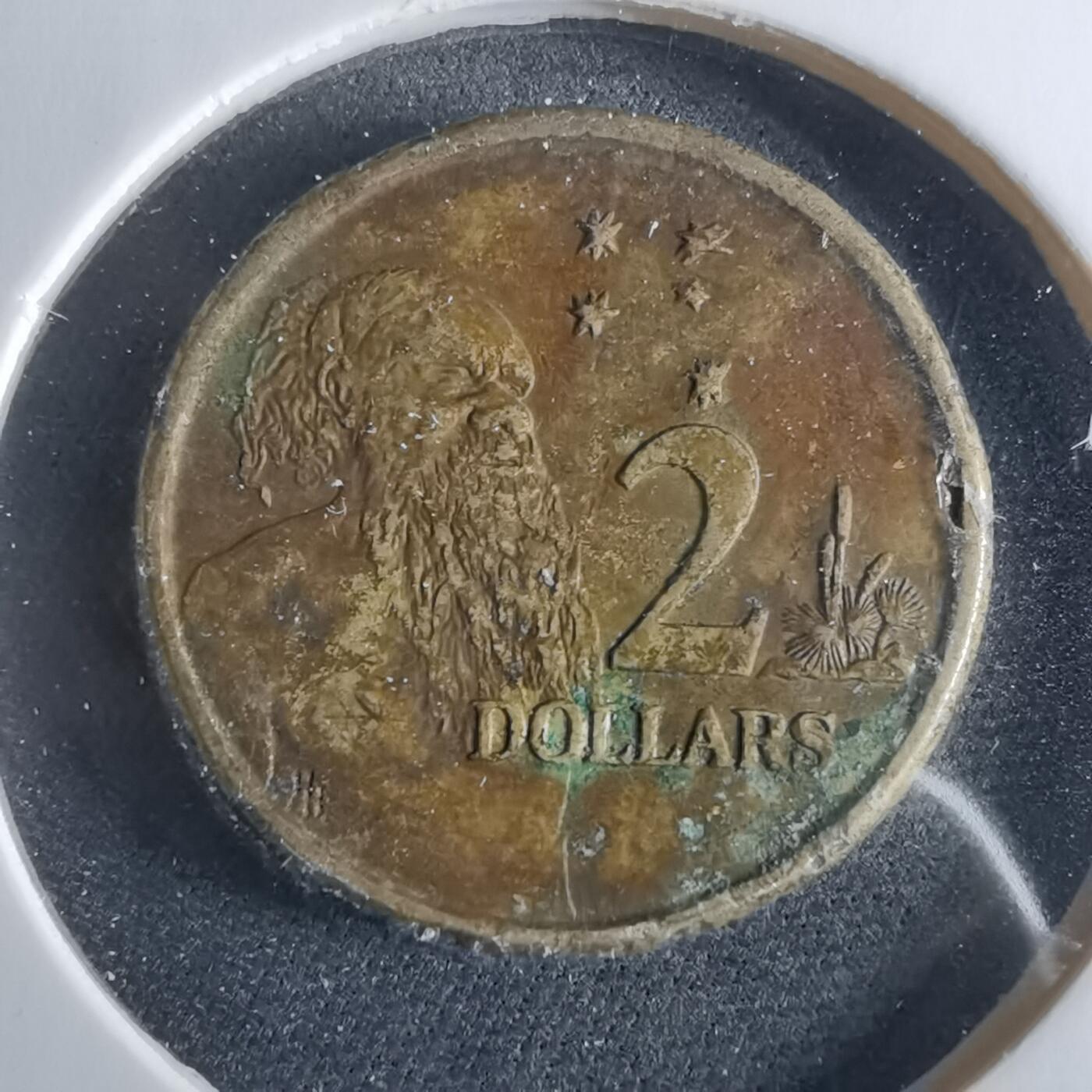 沼泽如烟--第956场